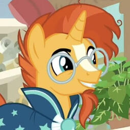 Sunburst